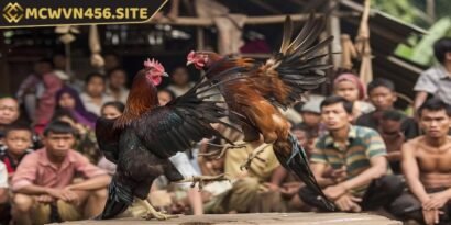 Bí quyết đá gà hiệu quả cần biết chọn nhà cái MCWCASINO uy tín nhất